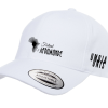Festival AfroMonde